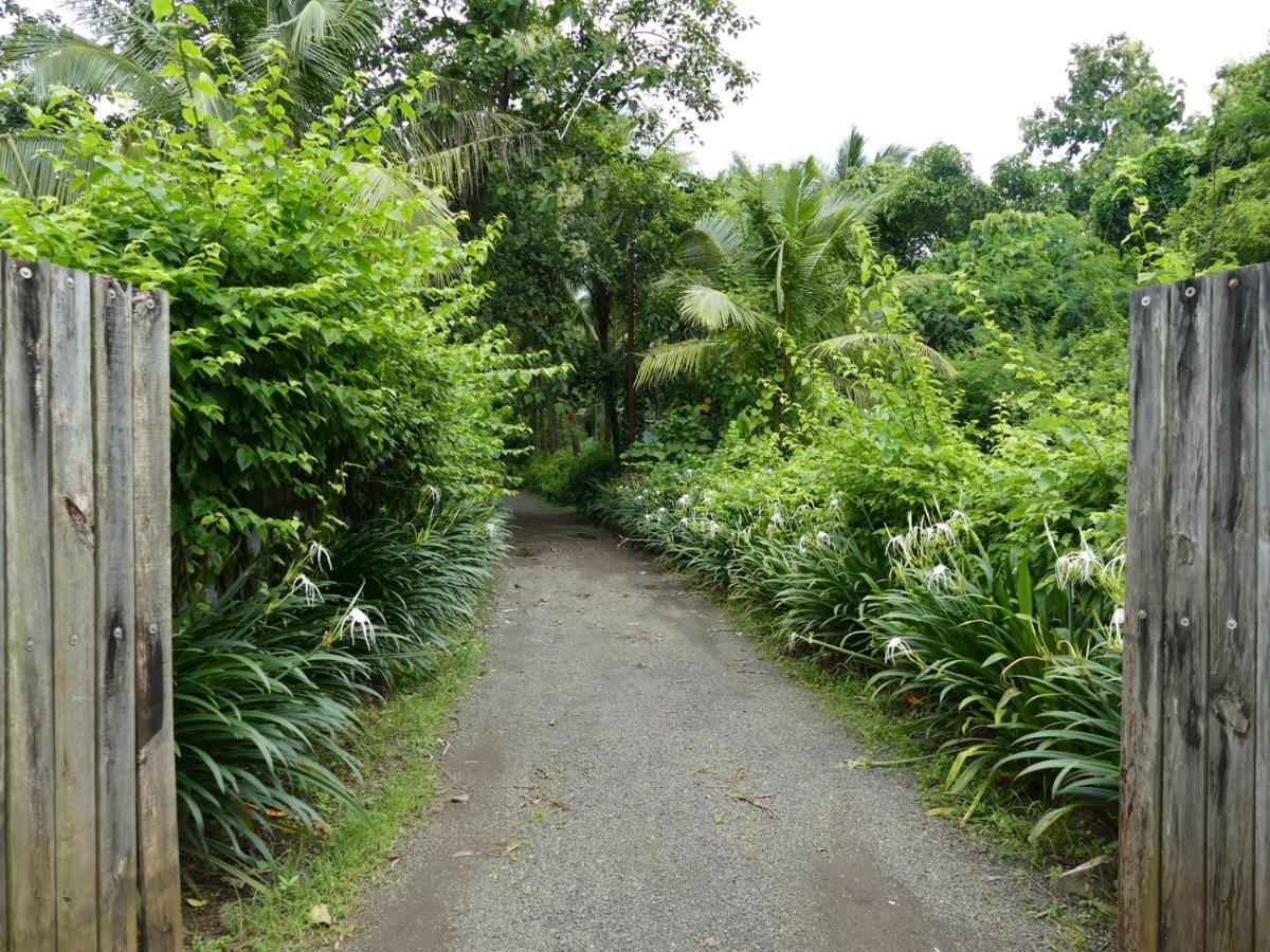 Mango Beach Villas Kihim Alibaug ภายนอก รูปภาพ